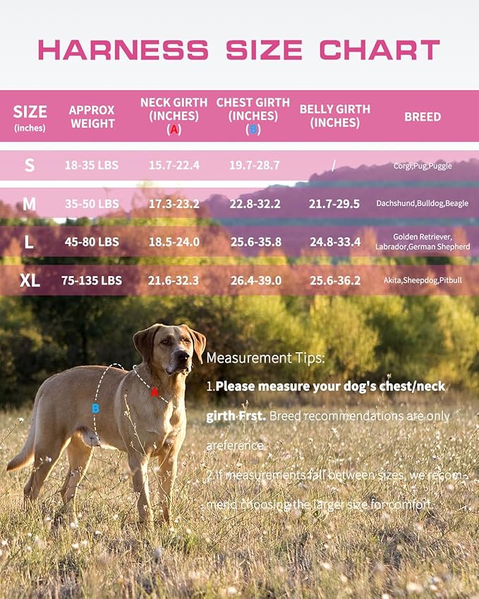 Dog Harness for Large Dogs Heavy Duty, No Pull Tactical Dog Harness with Molle System, Easy On and Off Service Dog Vest, Breathable Padded, Adjustable Reflective Pet Vest for Walking Hiking Training