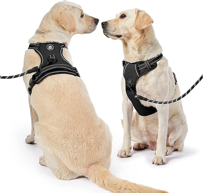 NESTROAD No Pull Dog Harness,Adjustable Oxford Dog Vest Harness with Leash,Reflective No-Choke Pet Harness with Easy Control Soft Handle for Large Dogs(Large,Black)