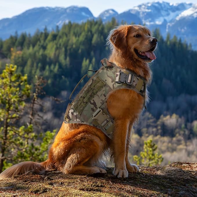 Tactical Dog Backpack Harness for Large Breed Original Design Metal Buckle Vest with Side Bags Pouches for Service Working Training (Camouflage (Vest only), M)