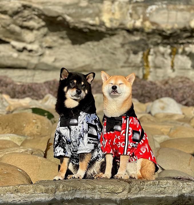 ChoChoCho NASA Dog Raincoats - Reflective Rain Jacket, Water Proof, Stylish Streetwear Outfit for Dogs - Cat Puppy Sizes S,M,L