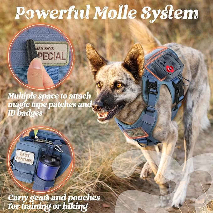 rabbitgoo Tactical Dog Harness for Small, Heavy Duty Pet Harness with Handle, No-Pull Service Vest Small Breed, Adjustable Military Dog Vest for Training Hunting Walking, Blue, S