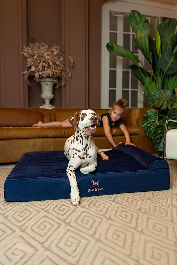 NOAH & PAW XL Dog Bed, 45x35x9.1 Inch, Orthopedic Large Dog Beds, Eggshell Memory Foam Infused with Cooling Gel, Waterproof, Machine Washable, Includes Inner Cover (Denim Collection)