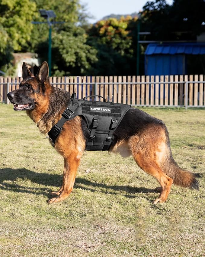 PETNANNY Tactical Dog Harness - No-Pull Service Vest for Large Breeds, with Hook & Loop Patch Panel & MOLLE System | Padded Handle for Walking, Hiking & Training (Black, L)