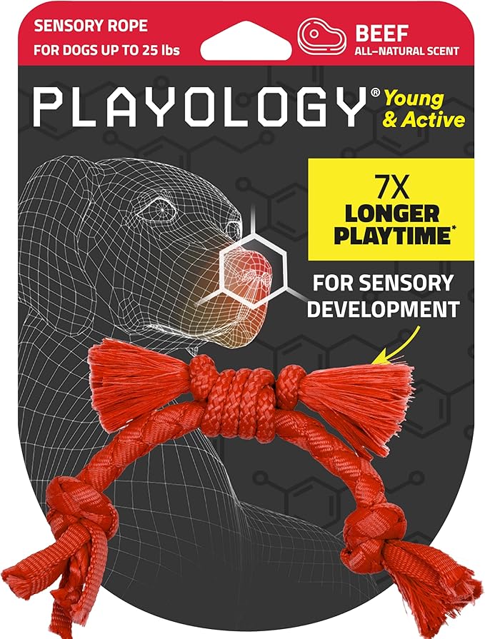 Playology Dog Toys | Puppy Toy Sensory Rope Tug of War Rope for Dogs and Puppies | Small Beef Scented Toy - Easy to Clean and Made from Non Toxic Materials