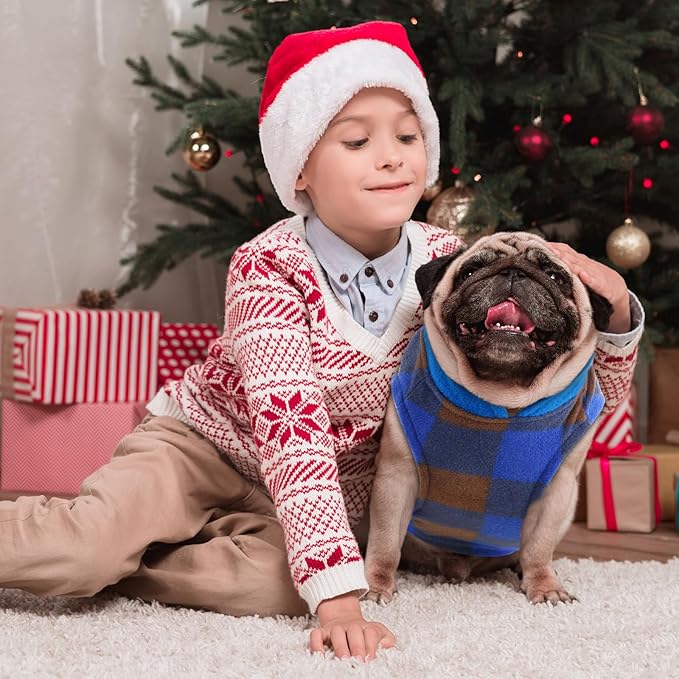 Reginary 10 Pack Medium Dog Sweaters Fleece Pet Dog Clothes with Leash Ring Soft Warm Winter Puppy Plaid Shirt(Bright)