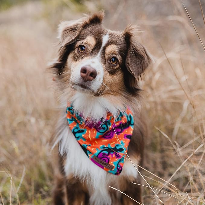 Wilderdog Dog Bandana with Lightweight Quick Drying Poly-Blend Mesh Material in The Lizards