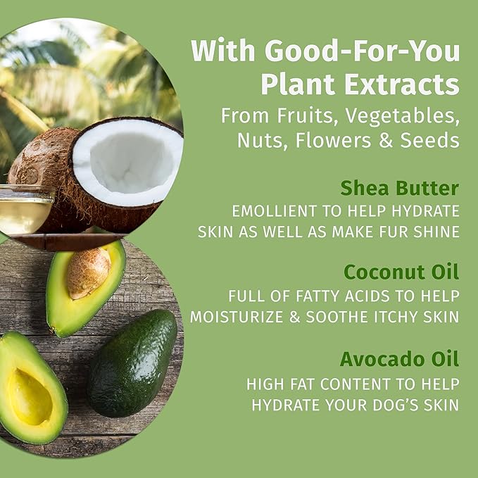 Hempz Petz, Dog Shampoo & Conditioner, Sweet Pineapple Honey Melon 2-in-1 Shampoo and Conditioner, Cleans, Conditions & Moisturizes, 17 fl. Oz