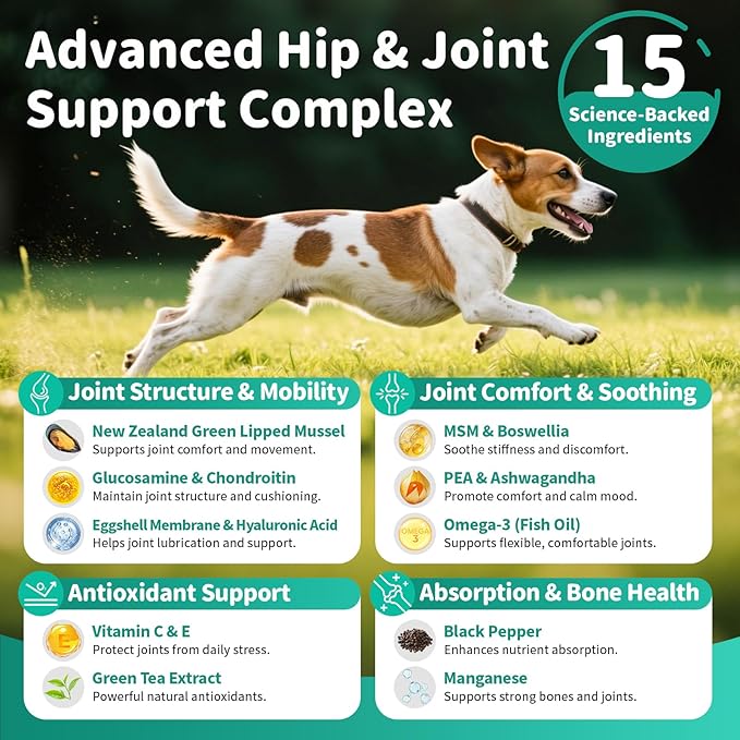 Dog Hip and Joint Supplement, 15-in-1 Advanced Glucosamine for Dogs with Chondroitin, MSM, New Zealand GLM, Pea, Omega 3 - Beef Flavor - 90 Soft Chews, Fits All Breeds and Sizes