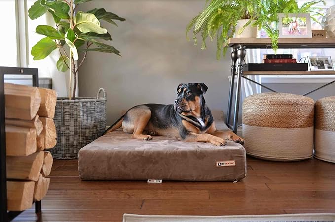 Barker Beds Orthopedic Dog Bed - 7" Pillow Top XL Size (52 x 36 x 11) - Luxury Washable Large Dog Bed with Headrest - Memory Foam Mattress for Big Dogs (Khaki)