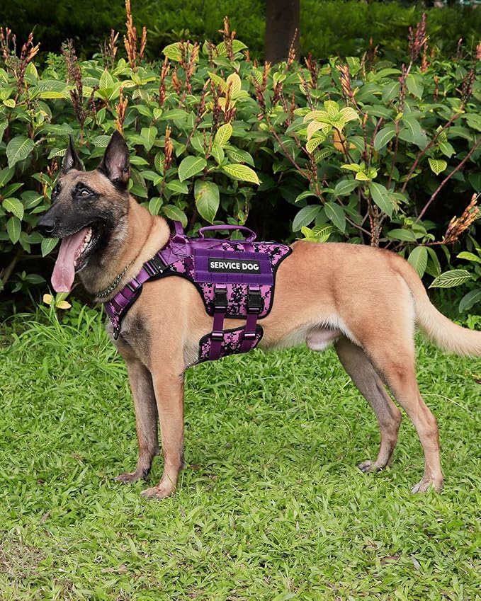 Tactical Dog Harness - PETNANNY Dog Harness Service Dog Vest for Large Breed Dog, Hook and Loop Panel for Service Dog Patchs, Work Dog MOLLE Vest with Handle for Walking Hiking Training(Purple Camo,L)