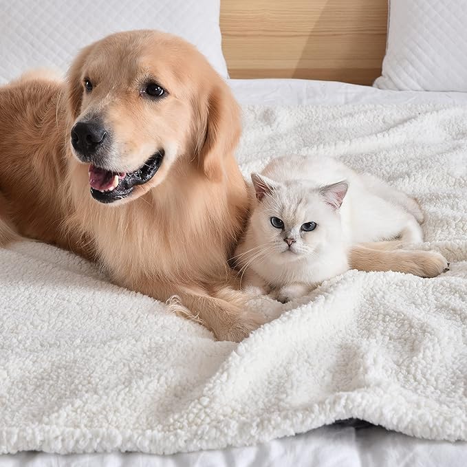 Qeils Waterproof Blanket for Bed Intimacy, Dog Blankets for Large Dogs, Waterproof Cat Blanket Washable, Soft Sherpa Fleece Puppy Blanket, Reversible Throw Protector for Couch Car, 50"X60", Navy Blue