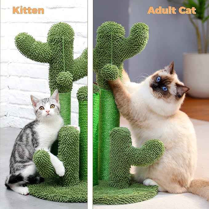 PAWZ Road Cat Scratching Post Cactus Cat Scratcher Featuring with 3 Scratching Posts and Dangling Ball-Medium 23 Inches