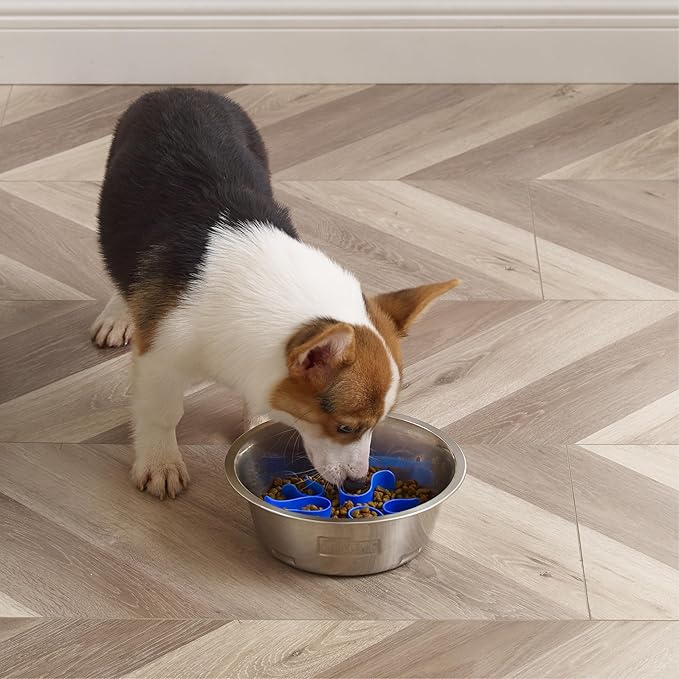 Outward Hound 2-in-1 Stainless Steel Slow Feeder Bowl, Puzzle Maze for Fast Eaters, Small to Medium Dogs, Helps Prevent Bloat & Aid Digestion, Holds 2 Cups Wet or Dry Food, Non-Slip, Made Without BPA