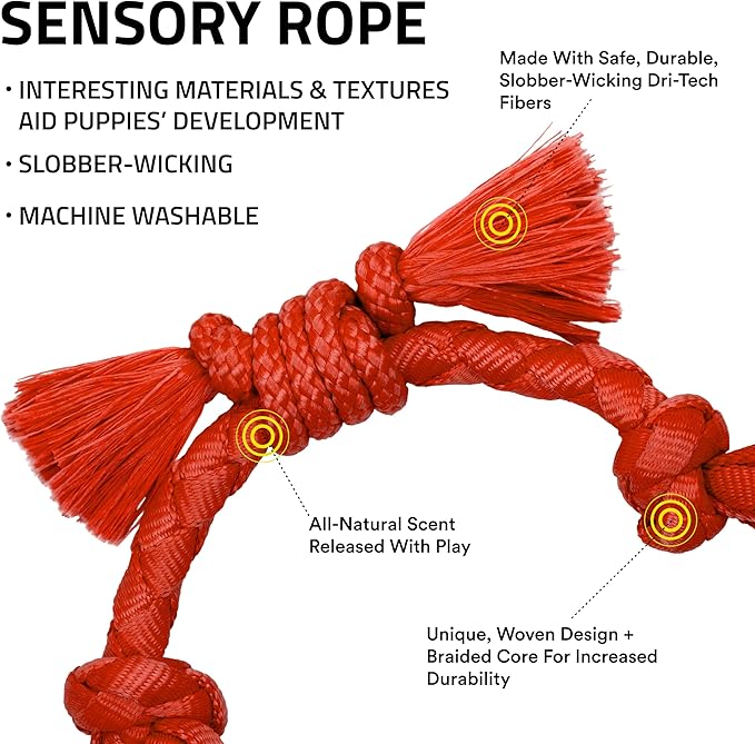 Playology Dog Toys | Puppy Toy Sensory Rope Tug of War Rope for Dogs and Puppies | Small Beef Scented Toy - Easy to Clean and Made from Non Toxic Materials