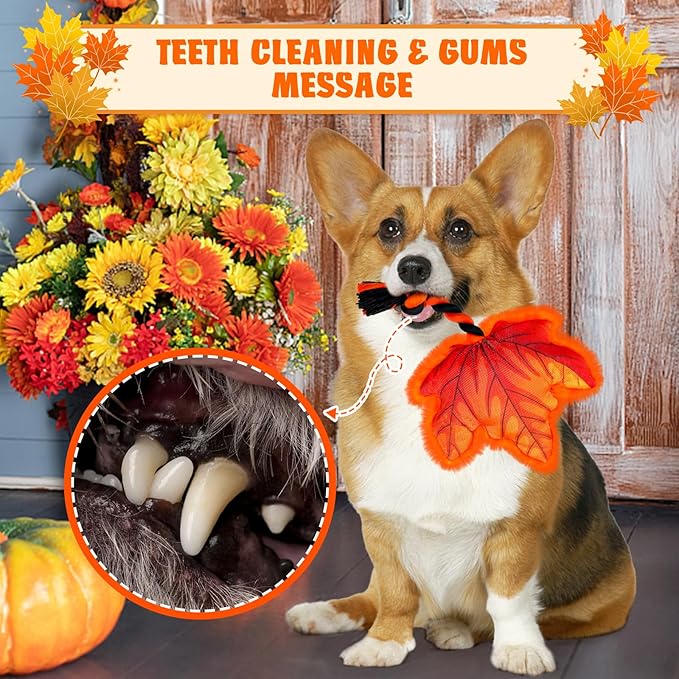 Thanksgiving Dog Toys, Maple Leaf Fall Dog Toys with Cotton Rope and Squeaker, Thanksgiving Dog Gifts for Small and Medium Dogs