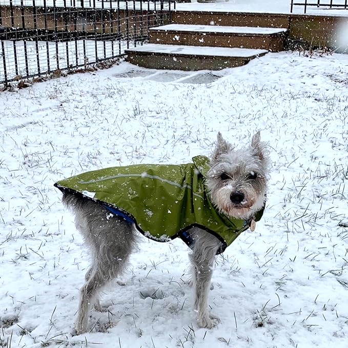 Mile High Life Dog Raincoat, Adjustable Waterproof Reflective Rain Jacket for Small Medium Large Dogs, Lightweight Breathable Pet Rain Coat with Leash Hole(Lime Yellow,XXS Chest 16-19")