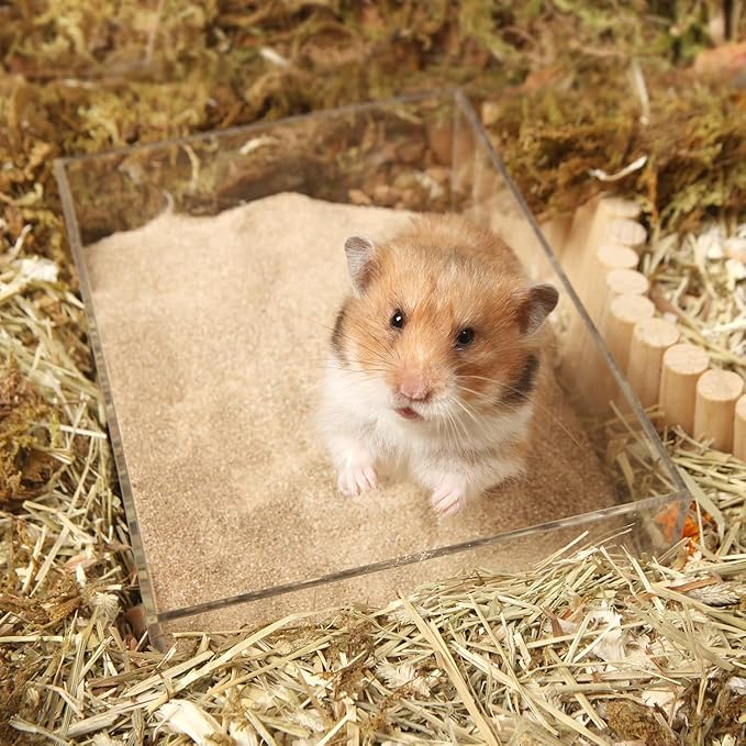 BUCATSTATE Hamster Bath Sand with Pour Spout Large Pack, 13.2LB Desert Bath Sand | No-Dust Potty Litter Calcium-Free Sand for Hamster Chinchillas Gerbil Mice Degu or Other Small Pets (2Pack-Fine Sand)