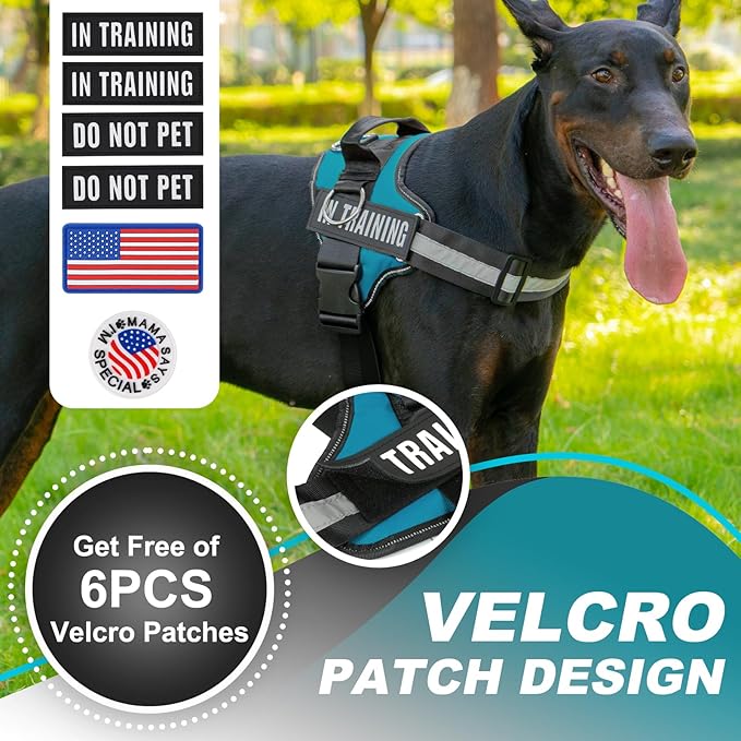 Essential Dog Harness with 3 Leash Clips - No-Pull, Adjustable, Comfortable Pet Vest Harness for Small to Large Dogs - Easy On, No Choke, Reflective, Padded Harness for Walking and Training