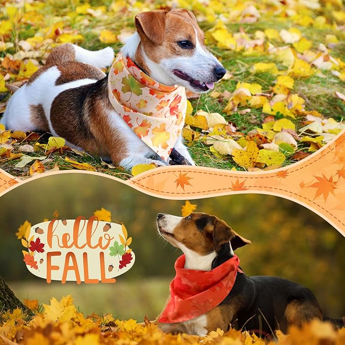 Chunful 60 Pcs Fall Bandanas for Dogs Autumn Maple Leaf Pumpkin Patterns Soft Bibs Adjustable Triangle Doggie Scarf for Small Medium Large Pet Costume(25.6 x 17.7 x 17.7 Inch)