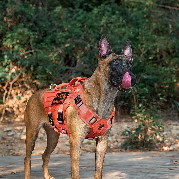 OneTigris Large Tactical Dog Harness, No Pulling Adjustable Dog Vest Harness, Heavy Duty Dog Harness with Handle, Large Hook and Loop Panels for Patch(Orange,XL)