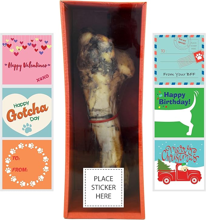 Giant Dog Bone, for Dogs - Stocking Stuffer, Birthday, Gotcha, Holiday Large and Medium Breeds, Natural, Tough, Made in The USA, 1 Count