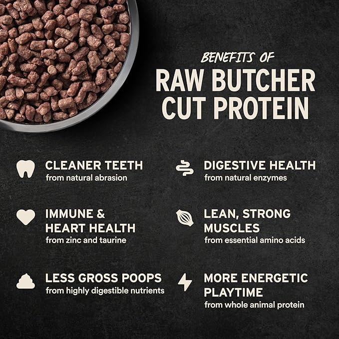 Vital Essentials Freeze-Dried Raw Beef Meal or Mixer Dog Food Crunchy Mini Nibs, 5.5 oz