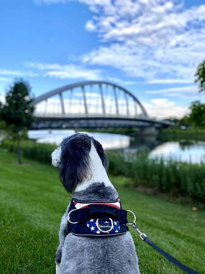 ShawnCo Essential Dog Harness, No-Pull Pet Vest with 3 Leash Clips, No Choke, Reflective, Adjustable and Padded, for Easy Walking and Training for Small, Medium and Large Dogs (Stars and Stripes, M)