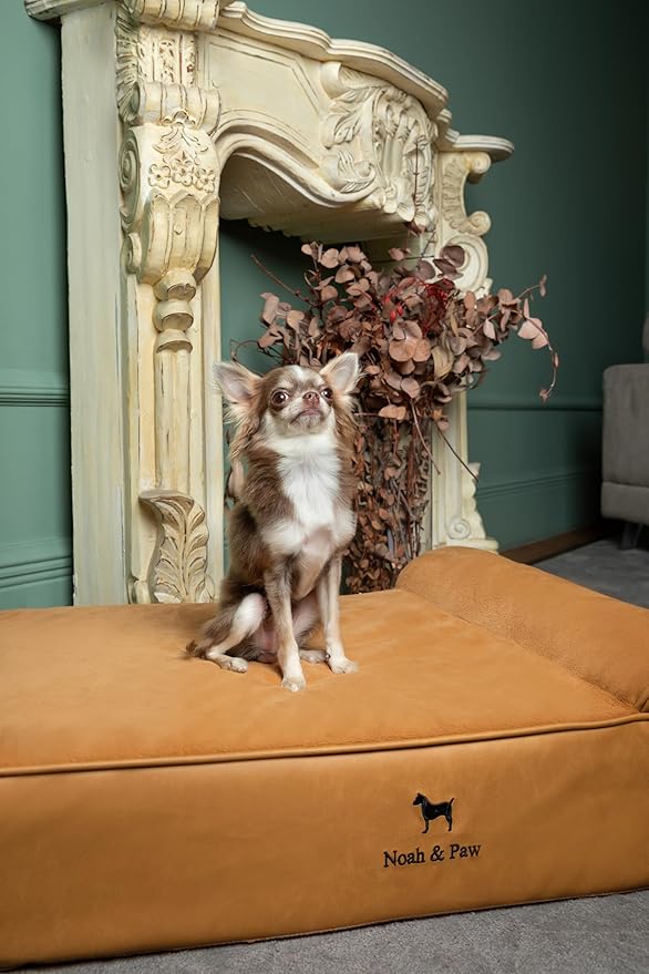 NOAH & PAW Dog Bed, 28x23x7.5 Inch, Orthopedic Dog Beds for Medium Size Pets, Eggshell Memory Foam Infused with Cooling Gel, Waterproof, Machine Washable, Includes Inner Cover (Faux Leather)