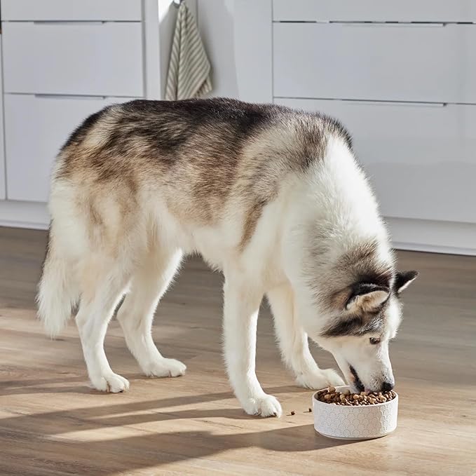 Open Farm, RawMix Grain-Free Dry Dog Food, Protein-Packed Kibble Coated in Bone Broth with Freeze Dried Raw Chunks, Chicken & Turkey, Open Prairie Recipe, 3.5lb Bag