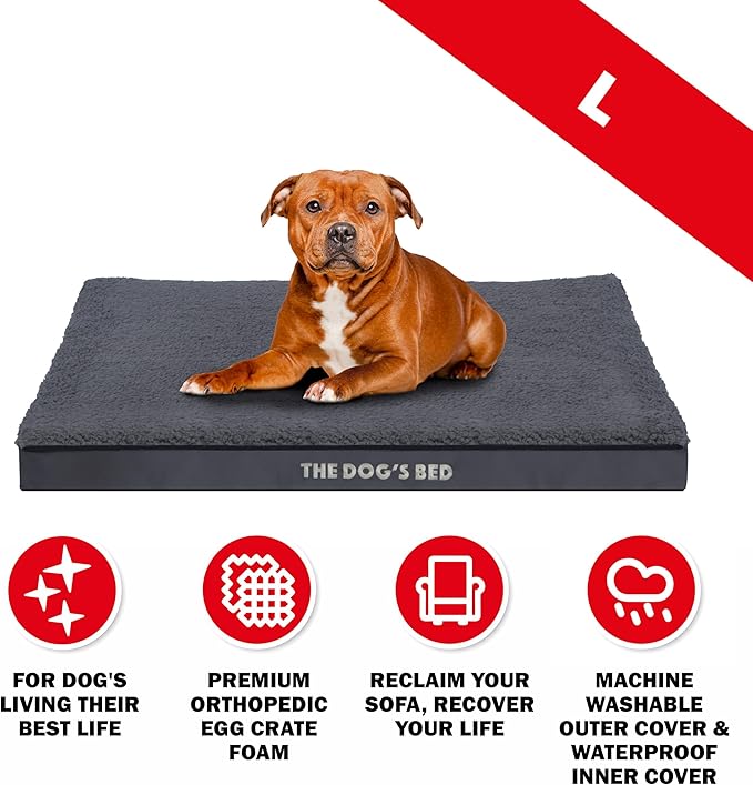 The Dog’s Bed Orthopedic Dog Bed, Large Grey Plush, Waterproof, Supportive Dog Bed with Washable Replaceable Covers