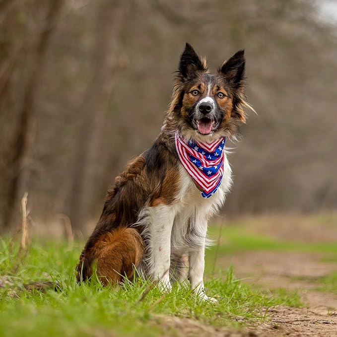 Wilderdog Dog Bandana with Lightweight Quick Drying Poly-Blend Mesh Material in Americana
