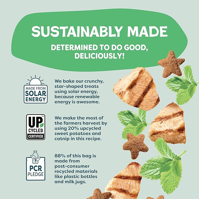 Shameless Pets Crunchy Cat Treats - Catnip Treats for Cats with Digestive Support, Kitten Treats with Real Chicken, Natural & Healthy Flavored Feline Snacks - Catnip N Chill, 1-Pk (12 Oz)