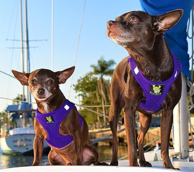 EcoBark Rapid Fastener Super Comfort Fully Adjustable Double Padded Step in Dog Harness (Large, Purple)