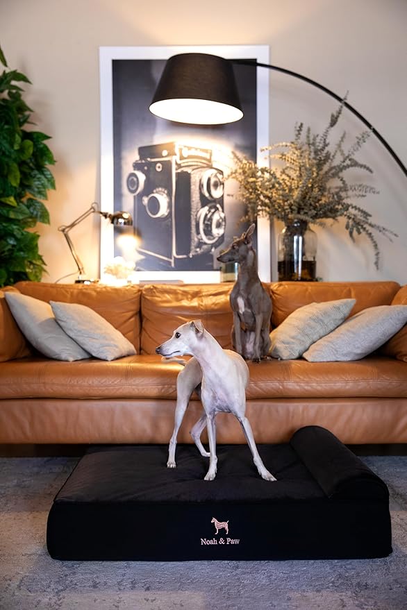 NOAH & PAW Large Dog Bed, 35x25x8.7 Inch, Orthopedic Dog Beds, Eggshell Memory Foam Infused with Cooling Gel, Waterproof, Machine Washable, Includes Inner Cover (Denim Collection)