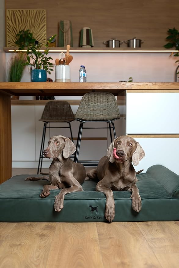 NOAH & PAW Giant Dog Bed XXL 55x45x9.5 Inch, Orthopedic Dog Beds, Eggshell Memory Foam Infused with Cooling Gel, Waterproof, Machine Washable, Includes Inner Cover (Faux Leather)