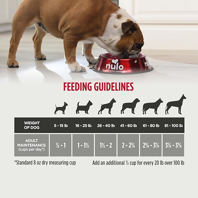 Nulo Frontrunner Ancient Grains High-Protein Dog Food, Turkey, Trout & Spelt Recipe- Natural Dry Dog Food with Probiotics, Grain-Inclusive Kibble for Adult Dogs, 5 lb Bag