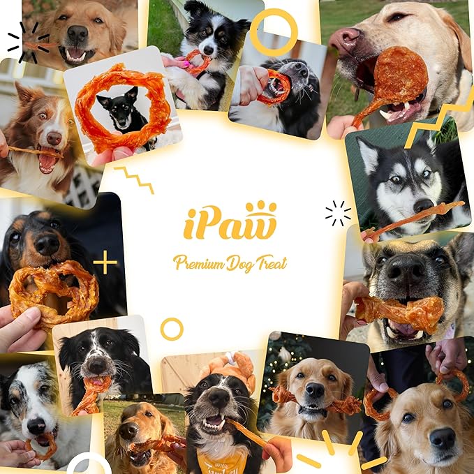 iPaw Turkey Tendons for Dogs 10 Pcs Value Pack, 100% Turkey and US Sourced Raw Material, Hypoallergenic, All Natural Human Grade Puppy Chew, Rawhide Alternative Dog Treats, Ring (Small)