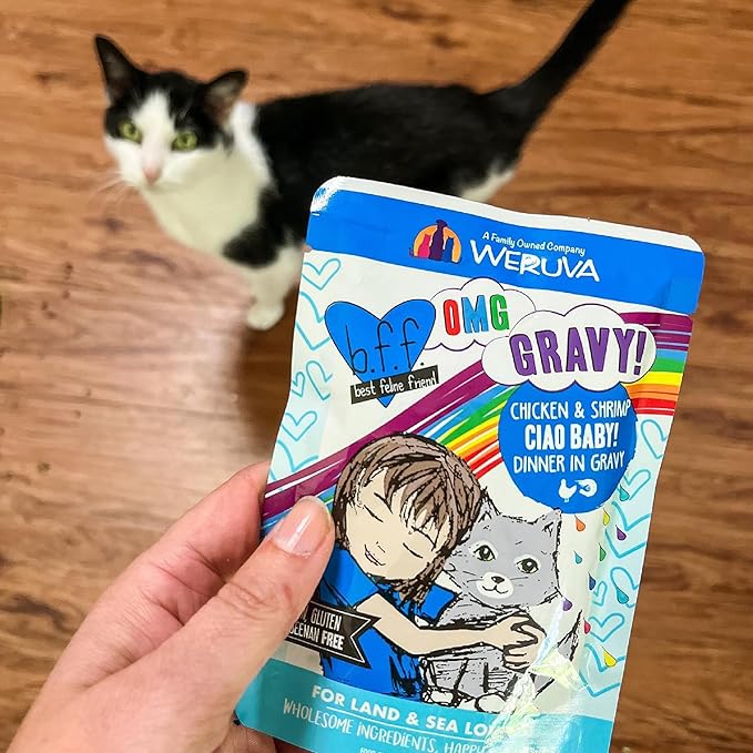 Weruva B.F.F. OMG - Best Feline Friend Oh My Gravy!, Tuna & Turkey Tickles with Tuna & Turkey in Gravy Cat Food, 3oz Pouch (Pack of 12)