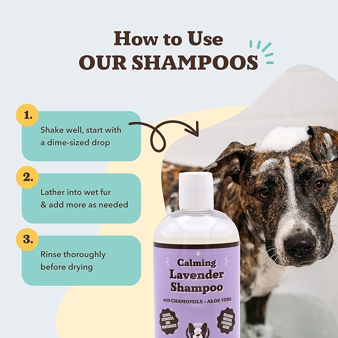 Natural Dog Company Calming Lavender Shampoo – Hypoallergenic, Sulfate & Paraben Free – Aloe Vera & Chamomile Soothing Wash for Sensitive, Stressed & Itchy Dogs – All Breeds & Ages – 12 oz