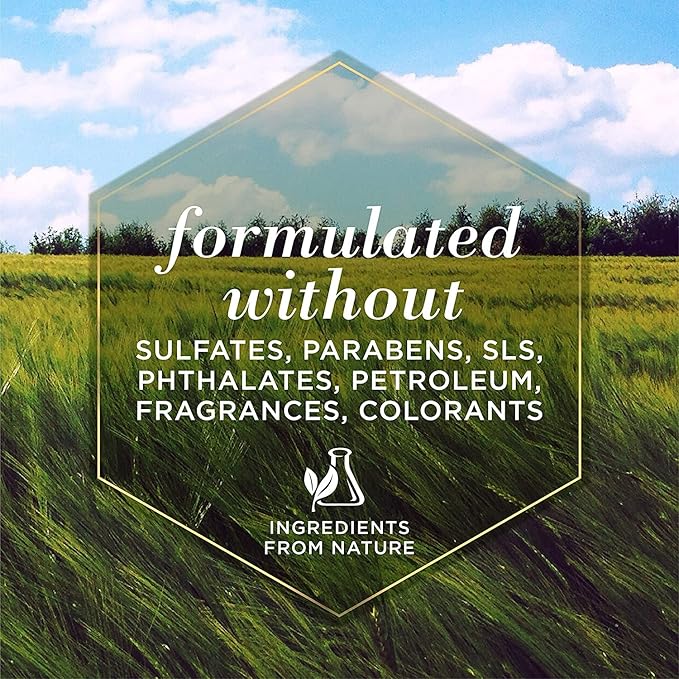 Burt's Bees for Pets Itch Soothing Shampoo with Honeysuckle, 6pk, 95% Natural Origin Formulas, Dog Shampoo for Itchy Dogs, Dog Shampoo Itchy Skin Relief, 6pk, 16 oz