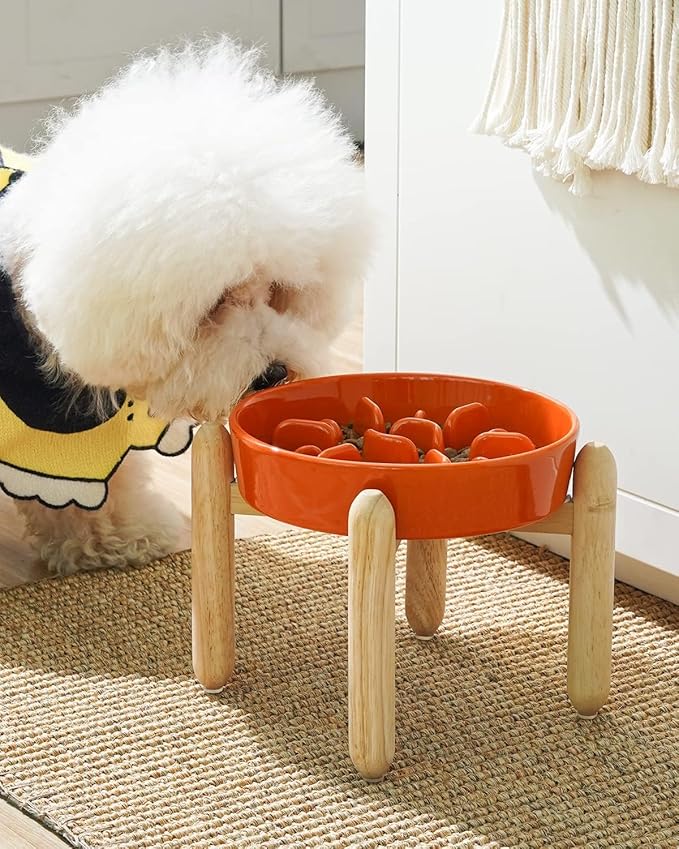LE TAUCI Ceramic Slow Feed Dog Bowls, Elevated, Anti-Gulping, Non-Slip, 6 inch, Orange