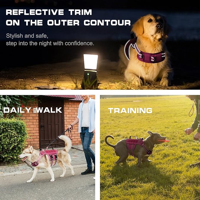 Tactical Dog Harness Medium Sized, Heavy Duty No Pull Dog Harness with Handle, Easy On and Off Service Dog Vest with Molle System, Reflective Pet Vest for Walking Hiking Training