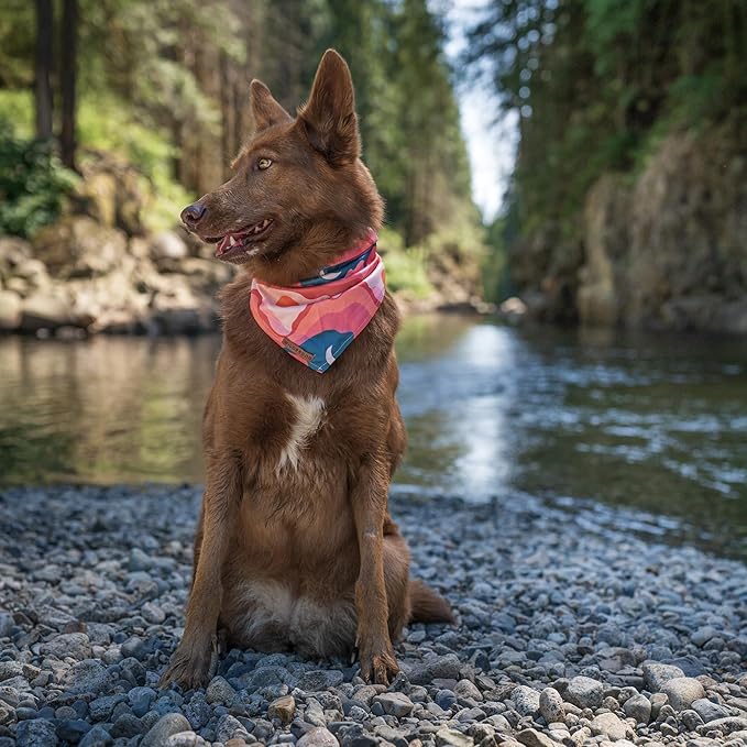 Wilderdog Dog Bandana with Lightweight Quick Drying Poly-Blend Mesh Material in Hazy