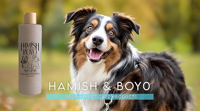 Natural Itch Relief Dog Shampoo – Hypoallergenic & Anti-Itch, Soothes Dry, Sensitive Skin, Oatmeal & Aloe, Lavender Scent, Tear-Free, Safe for Puppies & All Breeds, Made in USA by Hamish&Boyo