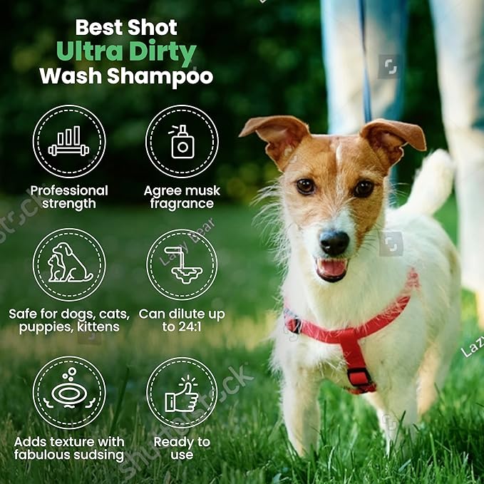 Best Shot Ultra Dirty Wash Shampoo, 16 oz