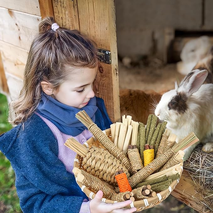 Rabbit Toys 33Pcs, Natural Hay Hamster Chew Toys for Teeth, Handmade Dried Sweet Teething Grass Sticks Watercress Carrot for Chinchillas Bunny Small Animals