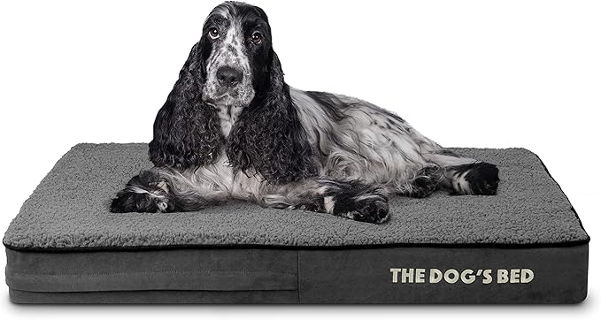 The Dog’s Bed Orthopedic Memory Foam Dog Bed, Dark Grey Plush Medium, Pain Relief for Arthritis, Hip & Elbow Dysplasia, Post Surgery, Lameness, Supportive, Calming, Waterproof Washable Cover