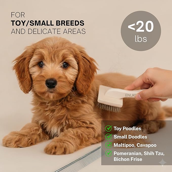 Grooming Dog Slicker Brush for Toy Poodle, Small Doodles & Maine Coon Cats - Best Dog Brush for Cockapoo Cavapoo Maltipoo and Pomeranian - Pet Slicker Brush & Comb Kit for Cats & small Great Pyrenees