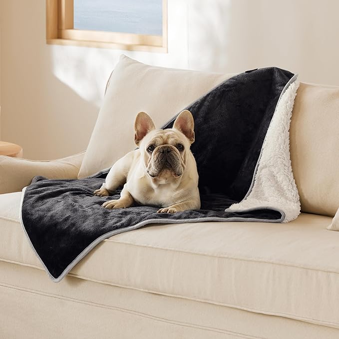 Bedsure Cat Blanket for Indoor Cats - Waterproof Calming Cat Blankets for Couch Protection, Sherpa Fleece Pet Blanket, Soft Plush Reversible Throw Furniture Protector, 40"x30", Black