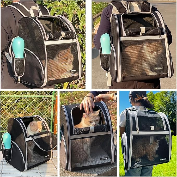 Cat Backpack Carrier Pet Backpack Carrier for Small Dogs and Medium cat Puppy Kitten Bunny up to 15lbs, Cat Carrying Backpack Collapsible with Fully Ventilated Mesh with Safety Leash (Black)